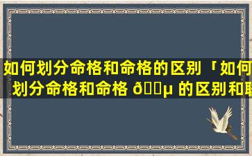 如何划分命格和命格的区别「如何划分命格和命格 🌵 的区别和联系」